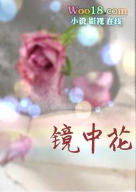 镜中花（高干 娱乐圈 H）